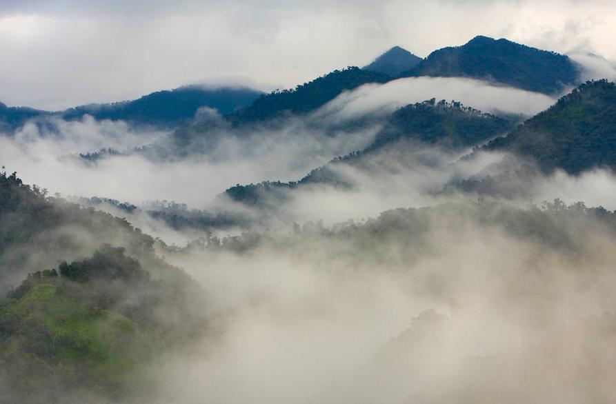 Volunteer Cloud Forest Conservation, Ecuador | Love Volunteers